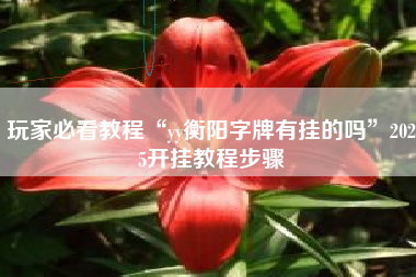 玩家必看教程“yy衡阳字牌有挂的吗”2025开挂教程步骤