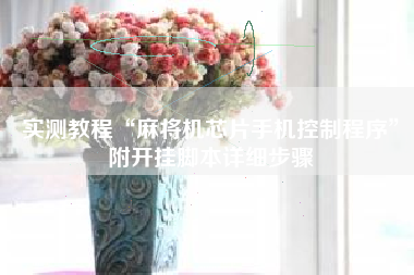 实测教程“麻将机芯片手机控制程序”附开挂脚本详细步骤