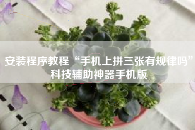 安装程序教程“手机上拼三张有规律吗”科技辅助神器手机版
