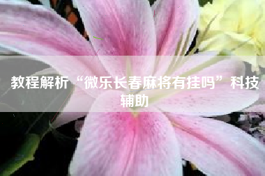 教程解析“微乐长春麻将有挂吗”科技辅助