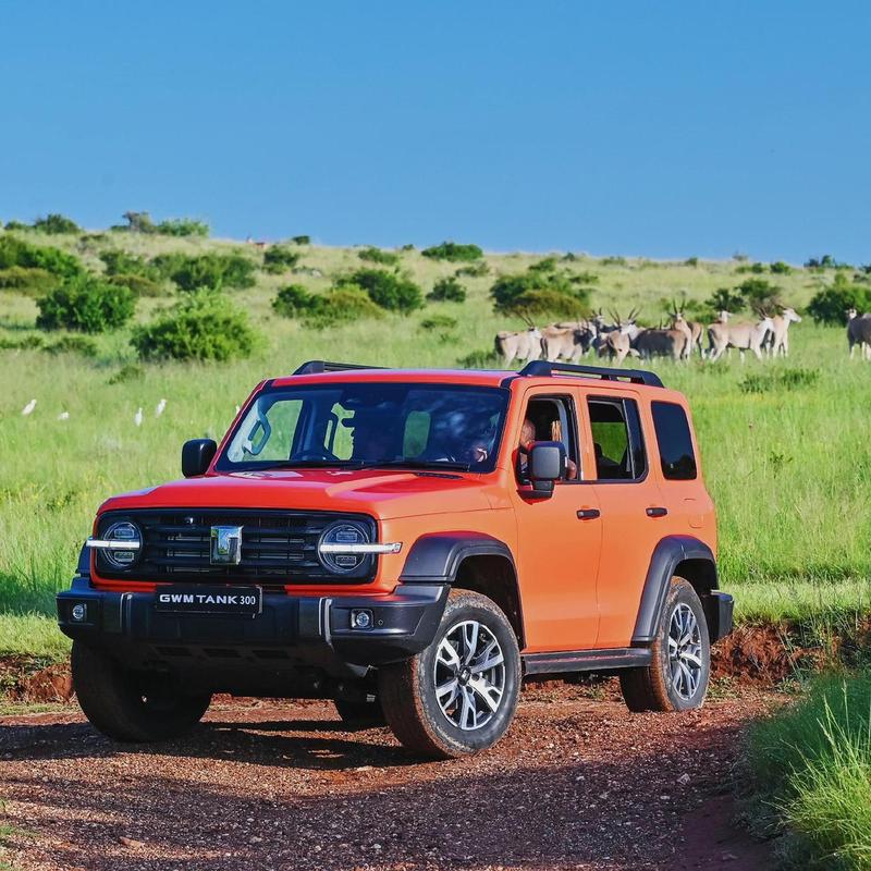 奇瑞300越野车/奇瑞300t