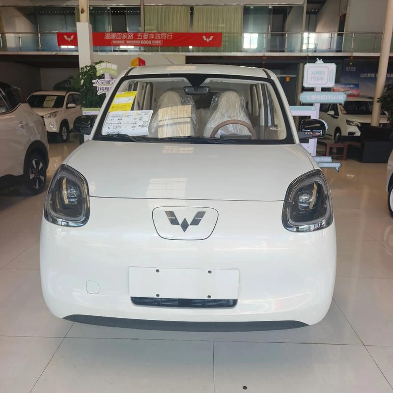 新款电车50万2025年/2025年纯电动车