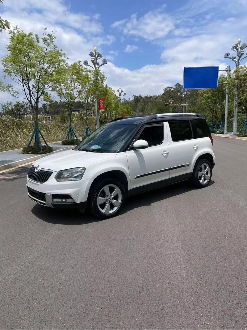 斯柯达野帝图片及价格(二手斯柯达野帝能买吗)