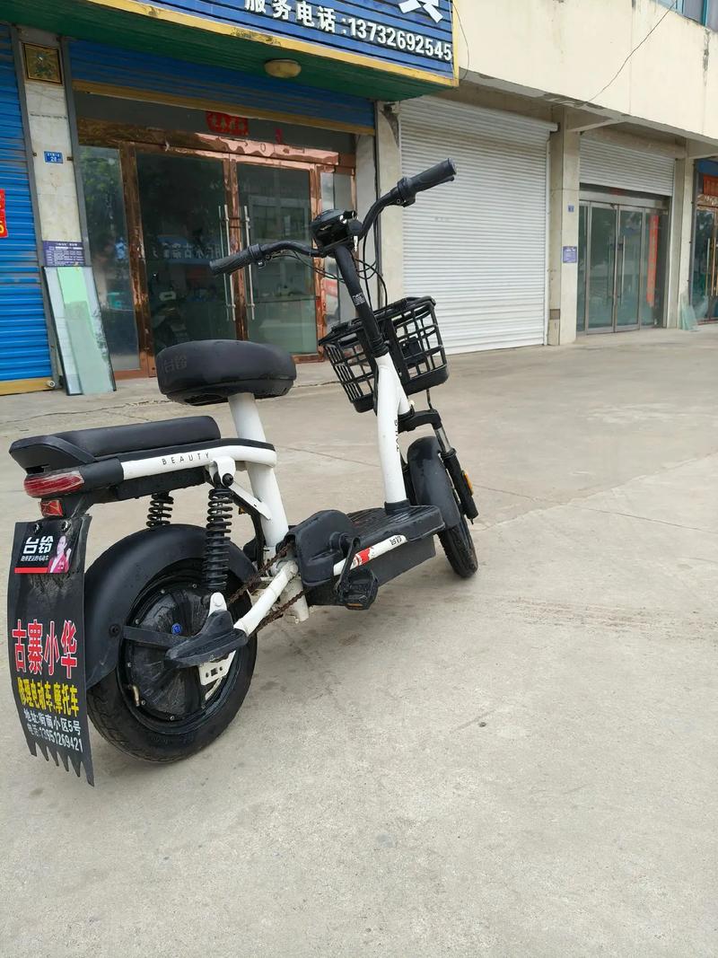 二轮电动车排名前十名(二轮电动车排名前十名有哪些)