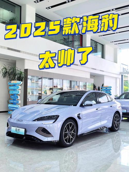 【比亚迪海豹混动2024款,比亚迪海鸥油电混动2025款】