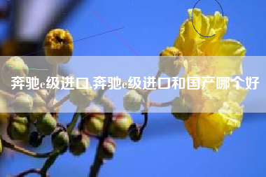 奔驰e级进口,奔驰e级进口和国产哪个好