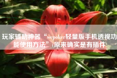 玩家辅助神器“wepoker轻量版手机透视功能使用方法”(原来确实是有插件