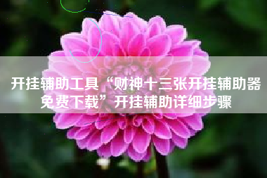 开挂辅助工具“财神十三张开挂辅助器免费下载”开挂辅助详细步骤