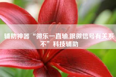 辅助神器“微乐一直输,跟微信号有关系不”科技辅助