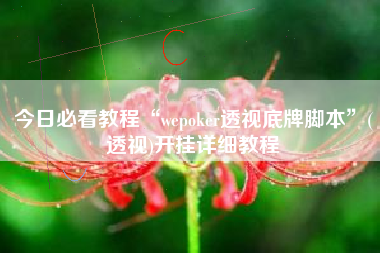 今日必看教程“wepoker透视底牌脚本”(透视)开挂详细教程