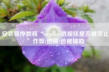 安装程序教程“wepoker透视挂是否被禁止”作弊(透视)透视辅助