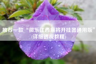 推荐一款“微乐江西麻将开挂器通用版”(详细透视教程)