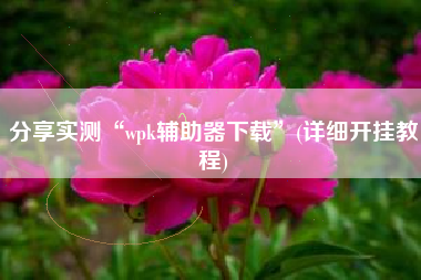 分享实测“wpk辅助器下载”(详细开挂教程)