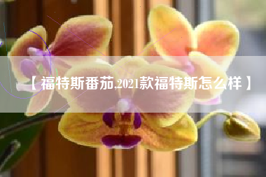【福特斯番茄,2021款福特斯怎么样】