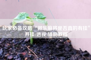 玩家必备攻略“微乐麻将是否真的有挂”开挂(透视)辅助教程