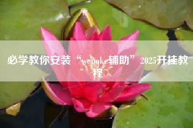 必学教你安装“wepoke辅助”2025开挂教程