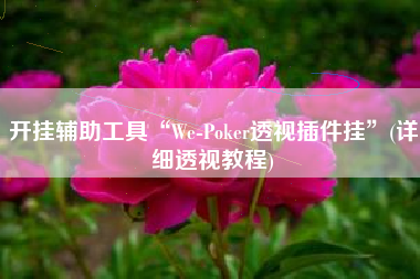 开挂辅助工具“We-Poker透视插件挂”(详细透视教程)