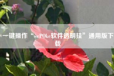 一键操作“wePOke软件透明挂”通用版下载