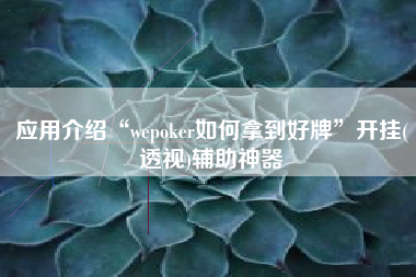 应用介绍“wepoker如何拿到好牌”开挂(透视)辅助神器
