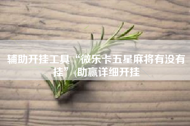 辅助开挂工具“微乐卡五星麻将有没有挂”(助赢详细开挂
