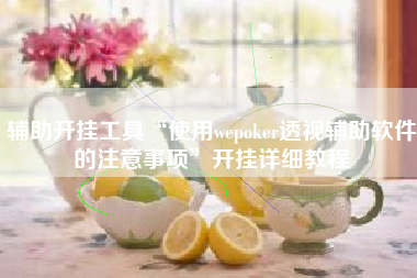 辅助开挂工具“使用wepoker透视辅助软件的注意事项”开挂详细教程