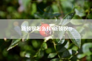 新领驭怎么样 新领驭20