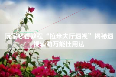 玩家必看教程“拉米大厅透视”揭秘透视辅助万能挂用法