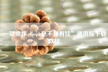 一键操作“wpk是不是有挂”通用版下载教程!