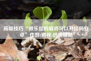 高级技巧“微乐捉鸡麻将可以开挂吗安卓”作弊(透视)透视辅助