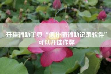 开挂辅助工具“德扑圈辅助记录软件”可以开挂作弊