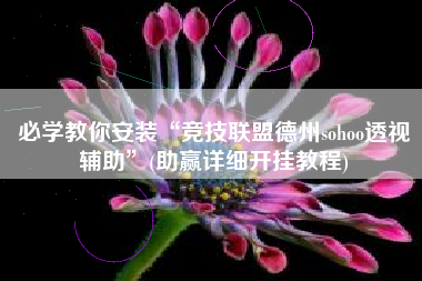 必学教你安装“竞技联盟德州sohoo透视辅助”(助赢详细开挂教程)