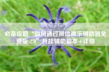 必备攻略“如何通过微信微乐辅助器免费版v2.0”开挂辅助脚本+详细