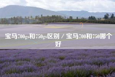 宝马700gs和750gs区别／宝马700和750哪个好