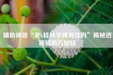 辅助神器“老k桂林字牌有挂吗”揭秘透视辅助万能挂