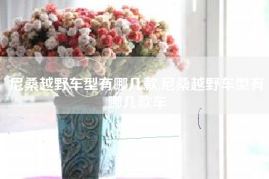 尼桑越野车型有哪几款,尼桑越野车型有哪几款车