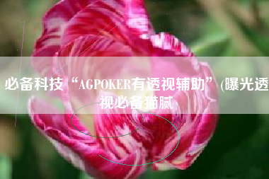 必备科技“AGPOKER有透视辅助”(曝光透视必备猫腻